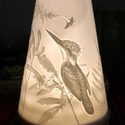 Judyprudey's profile picture. Following interesting, intelligent and/or amusing people. I just deleted all my tweets! 🤷‍♀️