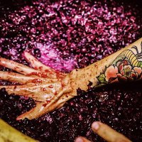 Ꮇas Ꮇartinet (@masmartinet) 's Twitter Profile Photo Ꮇas Ꮇartinet (@masmartinet) 's Twitter Profile Photo
