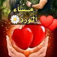 yossif saher (@yossifsaher) 's Twitter Profile