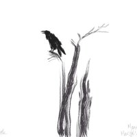 MsMegnonymous (@msmegnonymous) 's Twitter Profile
