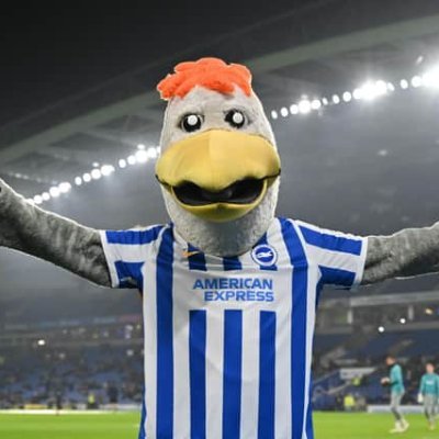 Brighton and Hove Albion FC fan, season ticket holder and all round obsesser.