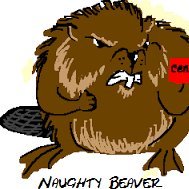 Naughty Beaver(@beaver_naughty) 's Twitter Profile Photo