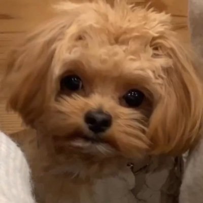 hawks3333333's profile picture. 