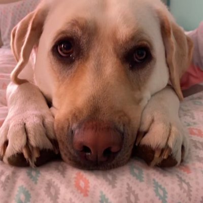 Dan121766's profile picture. PA