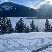 rtfab (@rtfab3) 's Twitter Profile