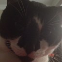 Jerry Roach - @groach00 - Twitter