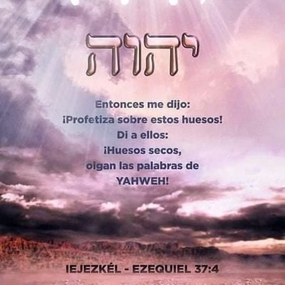 Buscamos al Yisrael de las Sagradas Escrituras que reconoce a Mashiaj y guarda Torah