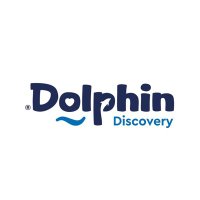 Dolphin Discovery (@dolphindisceng) 's Twitter Profile