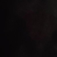 kitten 🐈 🥳🥳 (@elkesea666) 's Twitter Profile Photo
