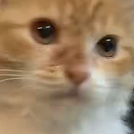 Yosefvalentino5's profile picture. 