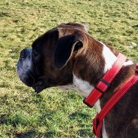 Andy (@murphdogg10) 's Twitter Profile
