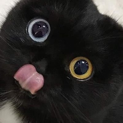 nnyungさんのプロフィール画像