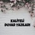 Kaliteli Duvar Yazıları (@kaliteliduvar) Twitter profile photo