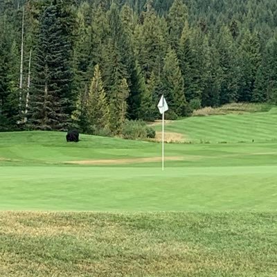 tcspeak's profile picture. 