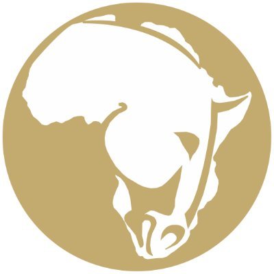 Africa's Leading Equestrian Online Marketplace - connecting our Horse World for the past 15 years