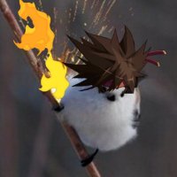 6f_réactable | Masker (@masker_sol) 's Twitter Profile