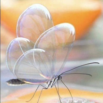 gaheflo's profile picture. 