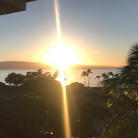 MAGA24 (@marpa_88) 's Twitter Profile