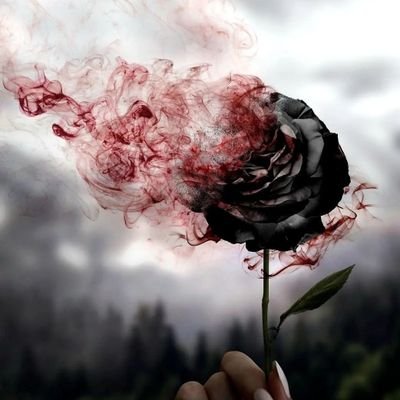 radioshahin's profile picture. هیچ