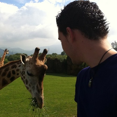 Hugo_CL's profile picture. 