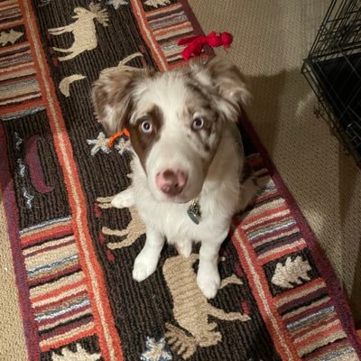 VinnyBluz's profile picture. guitar playing attorney, town council chairman 06492, George Jetson to Jane his wife, cycling superhero (even if it's all in my own mind).