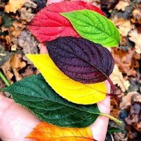 Özlemce5780 (@ilbatumece) 's Twitter Profile Photo Özlemce5780 (@ilbatumece) 's Twitter Profile Photo