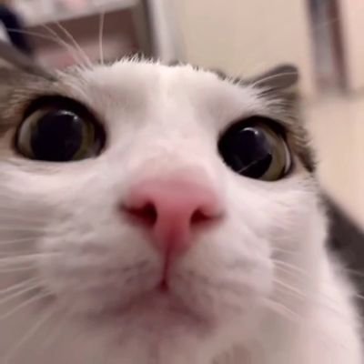 EclickOn's profile picture. 