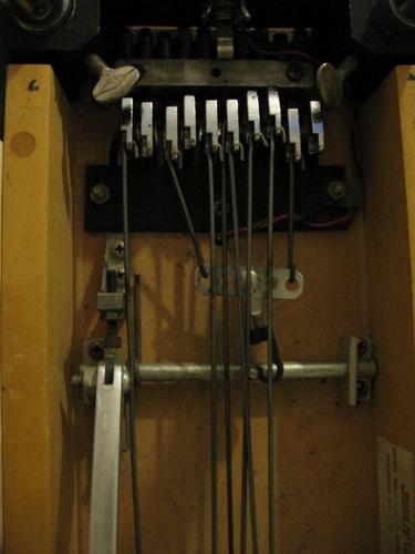 SteveCtwit's profile picture. Guitarplayer sAMMYcUBA