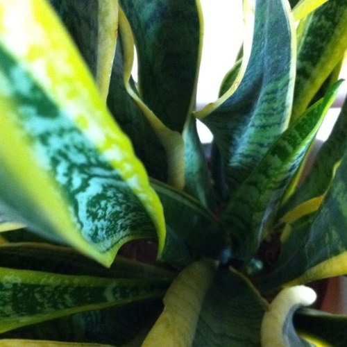 d_seyr's profile picture. 