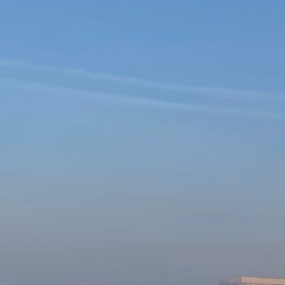 anmleri1's profile picture. 