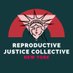 Repro Justice Collective (@reprojusticenyc) Twitter profile photo