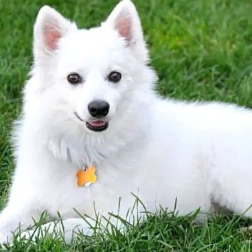 sandrad1453's profile picture. 