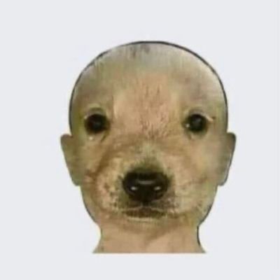 LukasCarb's profile picture. He/Them|21|AR|🏳️‍🌈
Not very talented, I just really enjoy reading and looking at art.