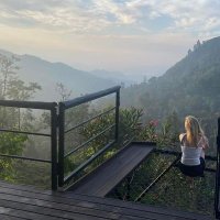 Sophie Hall (@hall_s_sophie) 's Twitter Profile
