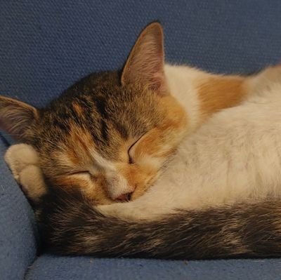 adzaeem's profile picture. 