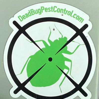 DeadBugPest Profile Picture