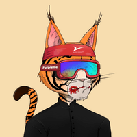 TheSolinator.fuel ❤️ $WELL (@nope_notnews) 's Twitter Profile