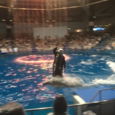 前職 🐬水族館 の人/某海洋大学卒/卒論🐋野生のザトウクジラの回遊/現 動物業界🦥のマーケティング/イルカの飼育員を目指していたら、イルカショーの🎇演出構成🎇の仕事してました/夢を追う学生応援/▶︎▶︎気軽にフォローして、水族館を100倍楽しもう◀◀︎