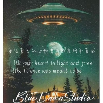 ZHAOKEVIN17's profile picture. 