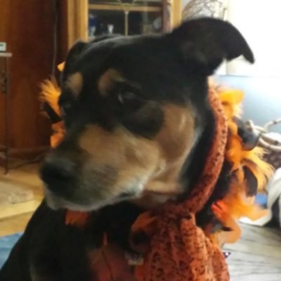 MojiGirlRocks's profile picture. 