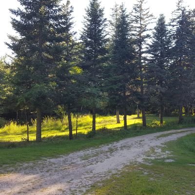 stonecitycafe's profile picture. Ned Pepper. I'll do what I have to do.