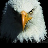 Wagner do Brasil 🇧🇷💛💚🇮🇱🇺🇸 (@wagnerw007) 's Twitter Profile