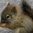 jade mckenzie - @pookie_lucios - Twitter