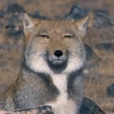 hideharu1976's profile picture. くさや