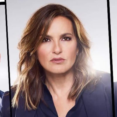 I like Law and Order SVU, Mariska Hargitay, dogs, puppies, cats, kittens, crime shows, Jurrasic Park, and Taylor Swift.