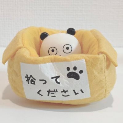 しゃんしゃん。さんのプロフィール画像
