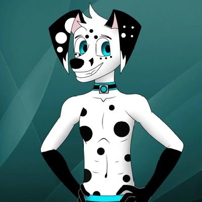 DiMaggio Dalmataさんのプロフィール画像