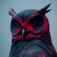 emanoN🦉 (@shacknoise) 's Twitter Profile