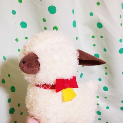 ぬーたん！？さんのプロフィール画像