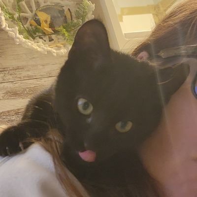 DaBeans13's profile picture. 